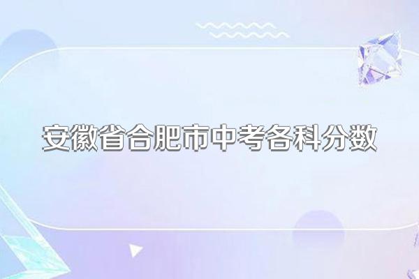 安徽省合肥市中考各科分数
