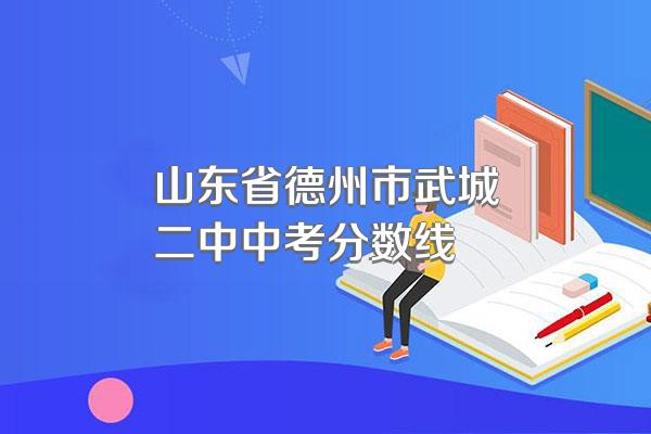 山东省德州市武城二中中考分数线