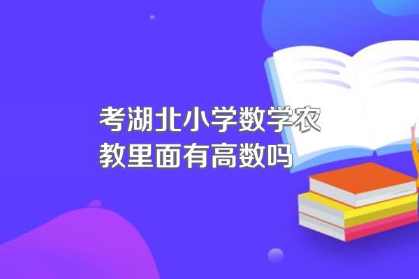 考湖北小学数学农教里面有高数吗