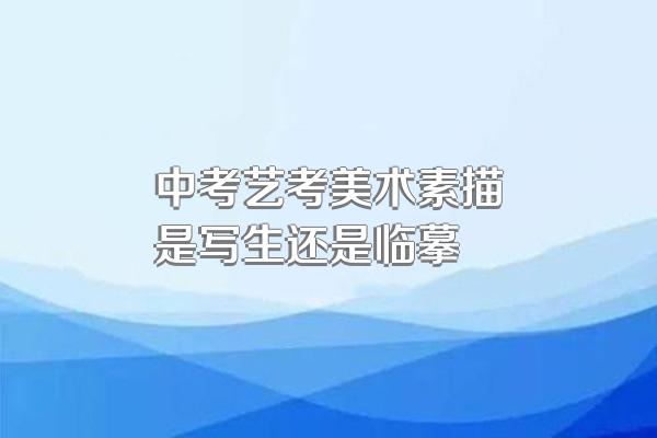 中考艺考美术素描是写生还是临摹