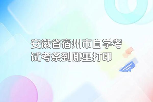 安徽省宿州市自学考试考条到哪里打印