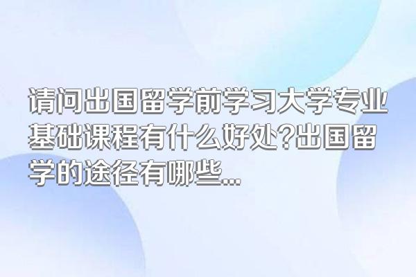 请问出国留学前学习大学专业基础课程有什么好处?出国留学的途径