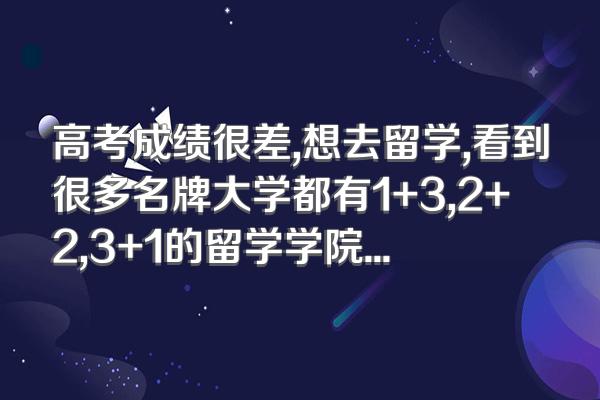 高考成绩很差,想去留学,看到很多名牌大学都有1+3,2+2,