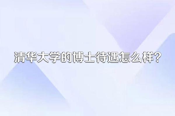 清华大学的博士待遇怎么样?