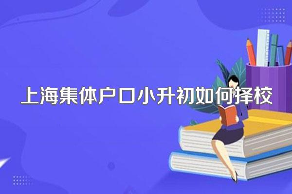 上海集体户口小升初如何择校