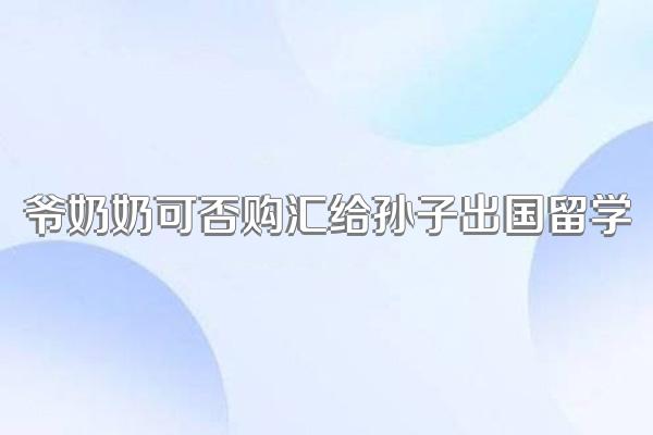 爷奶奶可否购汇给孙子出国留学