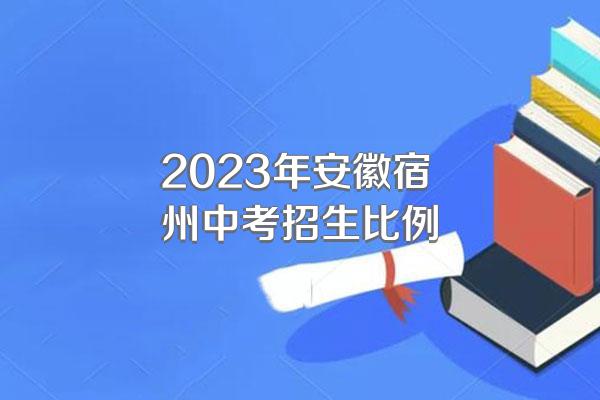 2023年安徽宿州中考招生比例