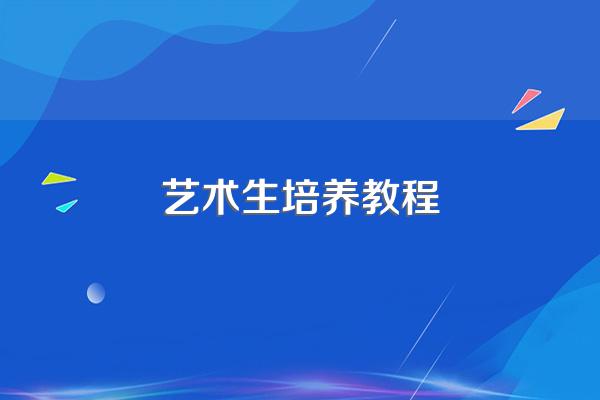 艺术生到大学都学什么