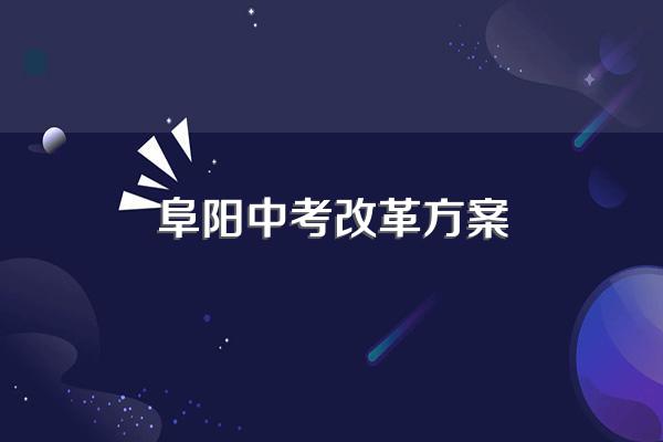 阜阳中考分数