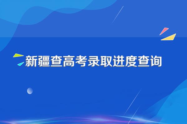 新疆考生填报的志愿信息怎么查?