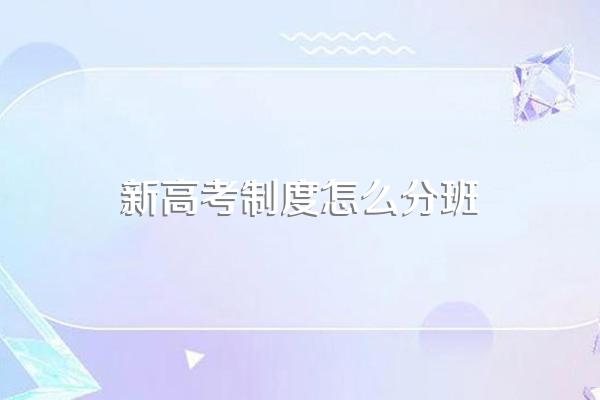 新高考制度怎么分班