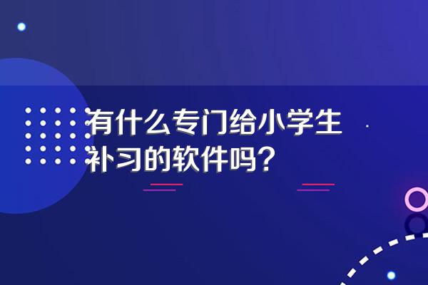 有什么专门给小学生补习的软件吗?
