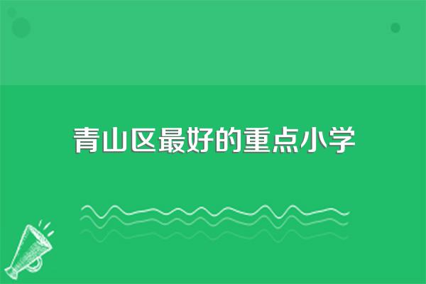 青山区最好的重点小学
