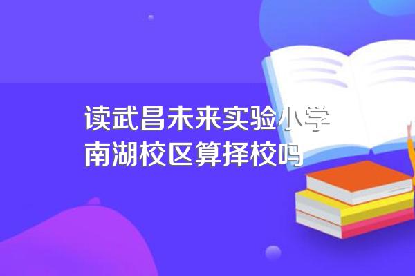 读武昌未来实验小学南湖校区算择校吗