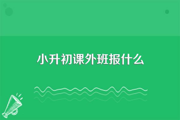 小升初课外班报什么
