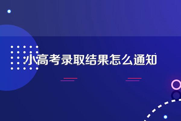 小高考录取结果怎么通知