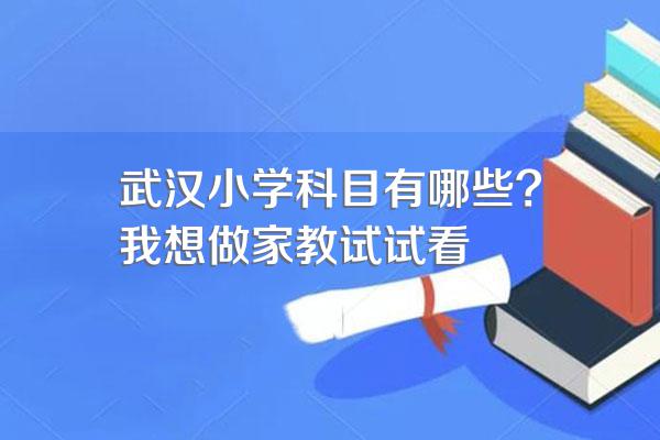 武汉小学科目有哪些?我想做家教试试看