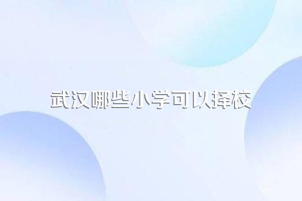 武汉哪些小学可以择校