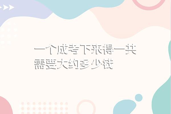 一个成考下来得一共需要大约多少钱