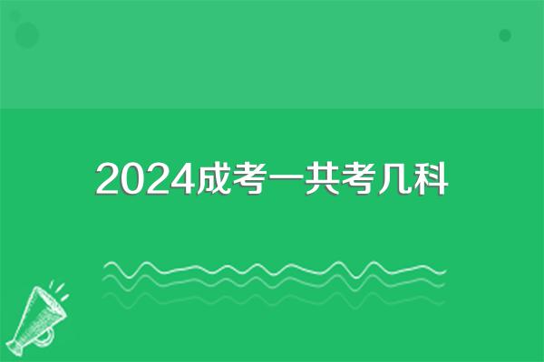 2024成考一共考几科