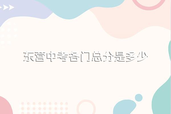 东营中考各门总分是多少