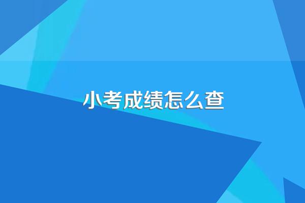 小考成绩怎么查