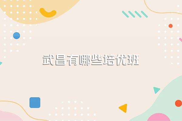 武昌有哪些培优班