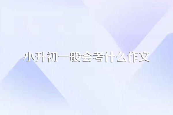 小升初一般会考什么作文