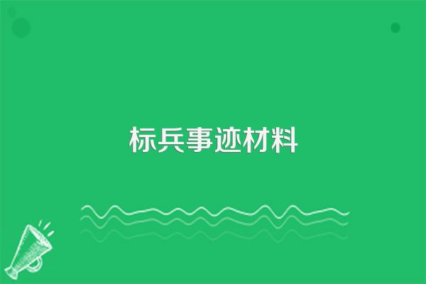 标兵事迹材料