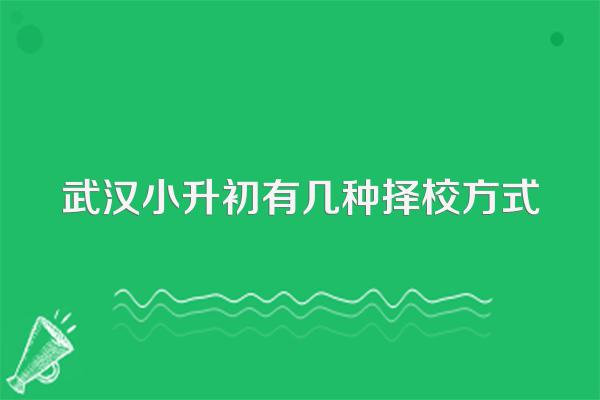 武汉小升初有几种择校方式