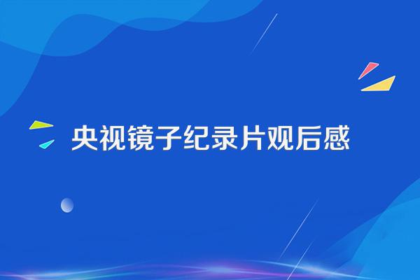 央视镜子纪录片观后感