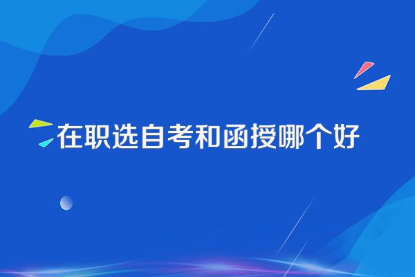 在职选自考和函授哪个好