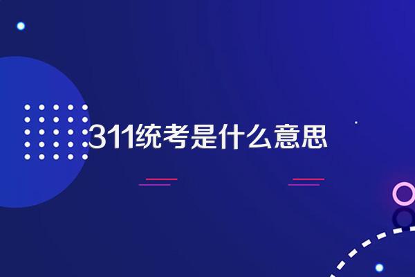 311统考是什么意思