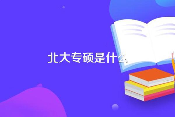 北大专硕是什么