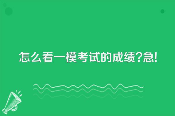 怎么看一模考试的成绩?急!