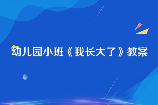 幼儿园小班《我长大了》教案