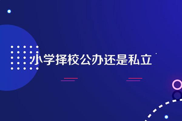上公立学校好还是私立的学校好