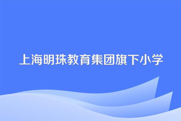 上海明珠教育集团旗下小学