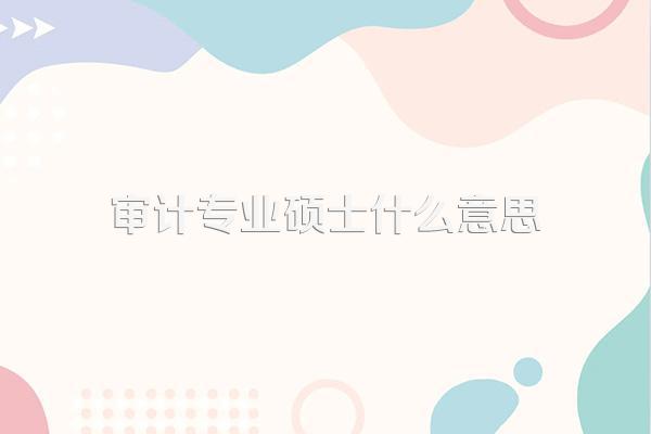审计专业硕士什么意思