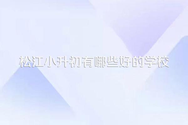 松江小升初有哪些好的学校