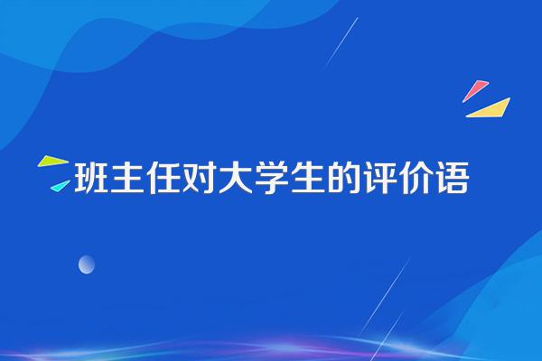 班主任对大学生的评价语