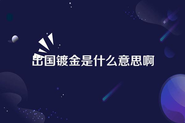 出国镀金是什么意思啊