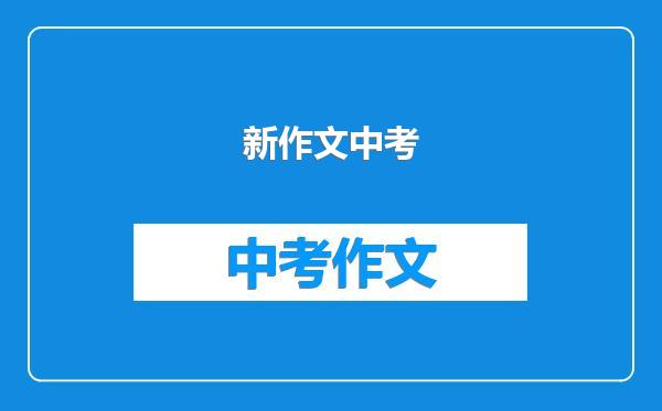 新作文中考
