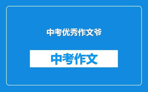 中考优秀作文爷