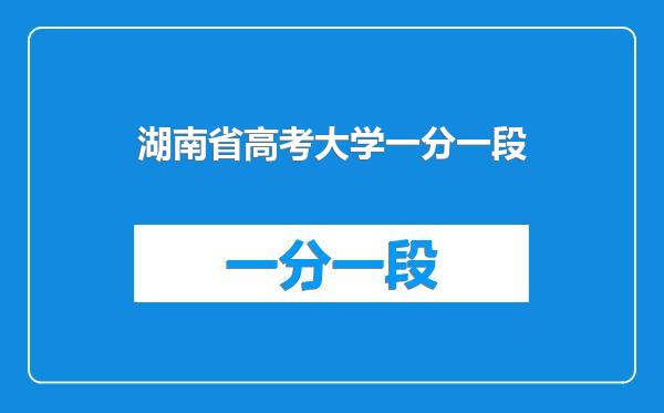 湖南省高考大学一分一段