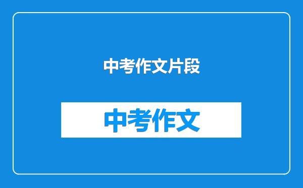 中考作文片段