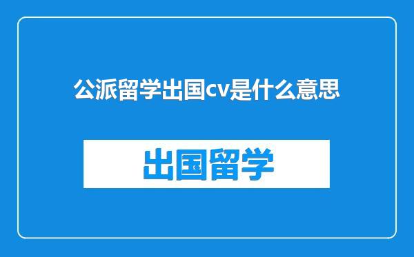 公派留学出国cv是什么意思