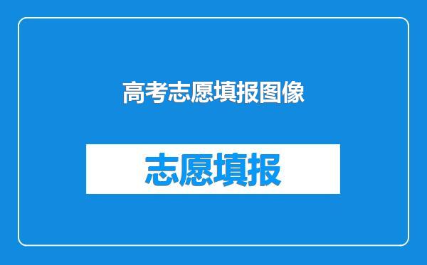 高考志愿填报图像