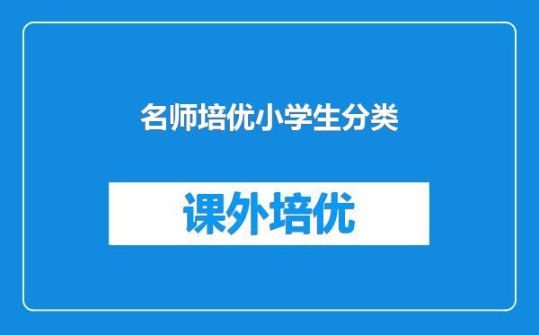 名师培优小学生分类