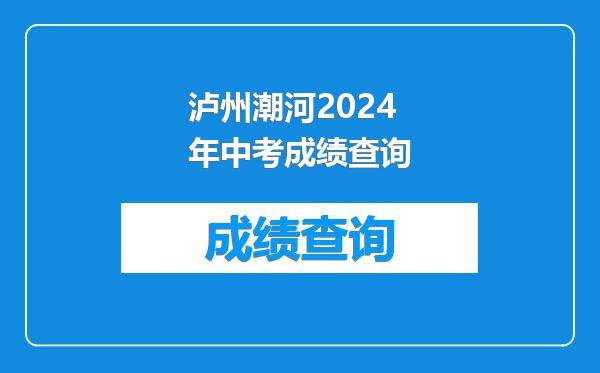 泸州潮河2024年中考成绩查询